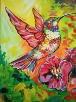 Kolibri
