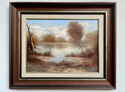 POTOM ÁRON Csáky Lajos Tócsa KERETEZVE 46x56cm