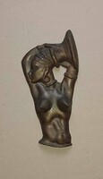 Bronz falikép