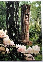 Kám , Jeli arborétum - Ambrózy-Migazzi I. szobra (még a régebbi)   -  retro képeslap