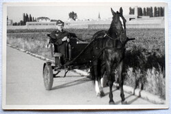 Régi fotó képeslap  - német katona lovas fogaton