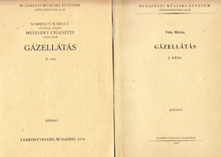 Gázellátás I-II. (Kézirat) - Vida Miklós, SOMHEGYI KÁROLY - MESZLÉRY CELESZTIN, Meszléry Celesztin