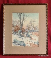 Veress Elemér (1876 - 1959): Salgó