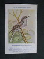 Képeslap,Budapest madártani intézet,madár sor,Ornitológia,Csörgey T. grafika,Karvaly poszáta, 1935-