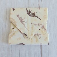 Újraszalvéta / dino fosszíliák