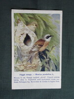 Képeslap,Budapest állatkert madár sorozat 29.sz,Ornitológia,Vezényi E. grafika,Függő cinege,1925-