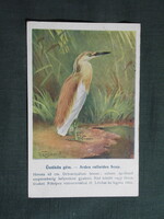 Képeslap,Budapest állatkert madár sorozat,Ornitológia,Vezényi E grafika,Üstökös gém,1925