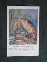 Képeslap,Budapest állatkert madár sorozat,Ornitológia,Vezényi E grafika,Bölömbika,1915-