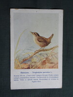 Képeslap,Budapest állatkert madár sorozat,Ornitológia,Vezényi E. grafika,Ökörszem,1915-