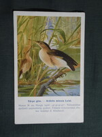 Képeslap,Budapest állatkert madár sorozat,Ornitológia,Vezényi E. grafika,Törpe gém,1915-