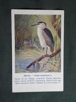 Képeslap,Budapest állatkert madár sor,94,sz,Ornitológia,Vezényi E grafika,Bakcsó,1915-