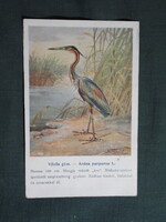 Képeslap,Budapest állatkert madár sorozat,Ornitológia,Vezényi E grafika,Vörös gém,1925