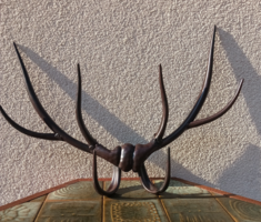 Szarvas agancs formájú fali fogas. Alkudható.