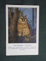 Képeslap,Budapest állatkert madár sorozat,Ornitológia,Vezényi E. grafika,Erdei Fülesbagoly,1915-