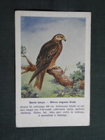 Képeslap,Budapest állatkert madár sorozat,Ornitológia,Vezényi E. grafika,Barna kánya,1915-