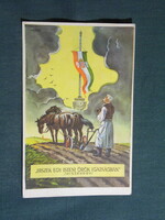 Képeslap,Trianon,Irredenta,Lamos grafika,Hiszekegy,Nemzeti zászló, 1935-
