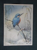 Képeslap,ornitológia,Rud. Schulz Radbl. grafika,Jégmadár,1935-