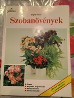 Heuer: Szobanövények, ajánljon!