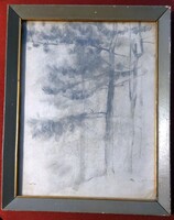 Magyar festő ,Mednyányszky ? Tátrai tanulmány: fenyőkkel Mérete: 27x34 cm.