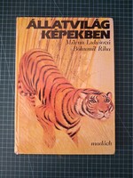 ! Milena Lukešová · Bohumil Říha: Állatvilág ​képekben - 1348