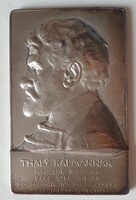 Telcs Ede: Thaly Kálmán (1839-1909) 1904, 66,4 g ezüst emlékérem