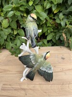 Nagyon ritka ENS madarak.