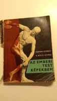 Kontra--K. Bócz  Az emberi test képekben
