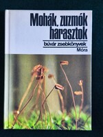 Mohák, zuzmók, harasztok