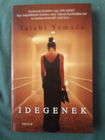 Taichi Yamada: Idegenek