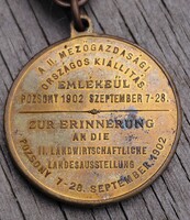 Pozsonyi  II. Mezőgazdasági országos kiállítás  1902 .  Emlék kitüntetés  . 29mm . F2025