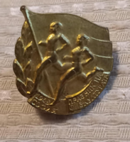 Bulgária csavaros sport kitűző 1948