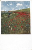 Rotophot képeslap Szinyei Merse: Pipacsostáj