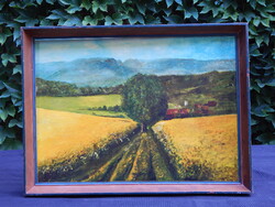 Ismeretlen festő olaj-vászon 50x70 cm-es festménye, kerettel