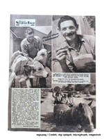 1959 augusztus 9  /  Képes Szabad Föld  /  Újság - Magyar /   Ssz.:  30522