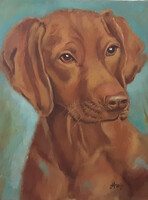 Antyipina Galina: Magyar vizsla, olaj, vászon, 40×30cm