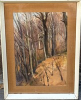 Csabai Kálmán : Őszi nap