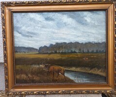 Antik olaj / fa festmény - szarvas a vadonban