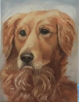 Antyipina Galina: Golden retriever, olaj, vászon, 40×30cm