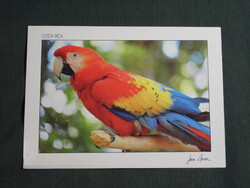 Képeslap,Közép Amerika,Costa Rica,állatvilág,tropikus madarak,Ara papagáj látkép,részlet,1988-