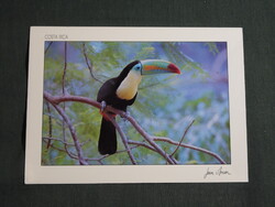 Képeslap,Közép Amerika,Costa Rica,állatvilág,tropikus madarak,Tukán látkép,részlet,1988-
