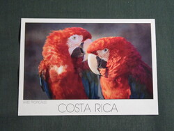Képeslap,Közép Amerika,Costa Rica,állatvilág,tropikus madarak,Ara papagáj látkép,részlet,1988-
