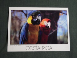 Képeslap,Közép Amerika,Costa Rica,állatvilág,tropikus madarak,papagáj látkép,részlet,1988-