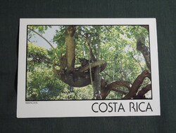 Képeslap,Közép Amerika,Costa Rica,Montezuma állatvilág,mosómedve látkép,részlet,1988-