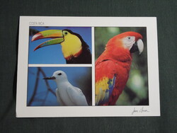 Képeslap,Közép Amerika,Costa Rica,állatvilág,tropikus madarak,Tukán,papagáj látkép,részlet,1988-