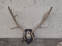 Régi Agancs Trófea fa talpazaton