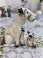 Porcelán kutya kölykeivel, kiskutyákkal eladó!Schnauzer kutya kiskutyákkal eladó!