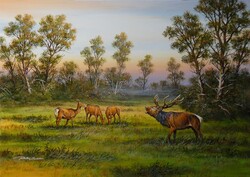 Pankotai Sándor festmény 50 x 70 cm