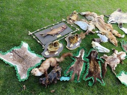 Kitömött kikészített vadász halász hagyaték trófeák