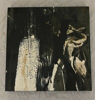 Pintér András Ferenc  Demons I.