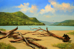 Lantos György: Amit a Duna ott felejtett 40x60 cm